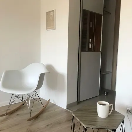 公寓 Wisla-houses Apartament Centrum 维斯拉