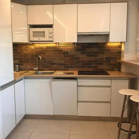 公寓 Wisla-houses Apartament Centrum